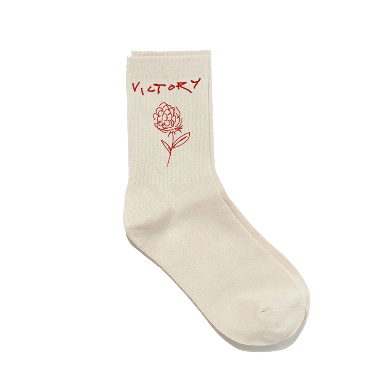 Cian Ducrot - Victory Socks